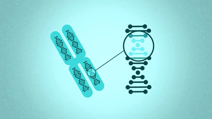 Vea un breve video sobre la enfermedad de Fabry.